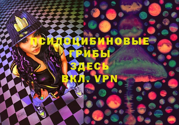 гашик Рославль